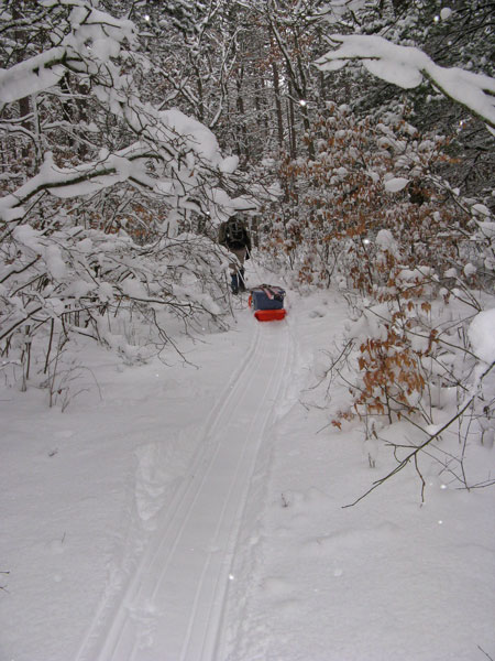 heading in on the old logging road