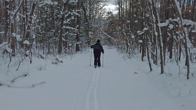 cross country skiing the old roads in pines point rec area