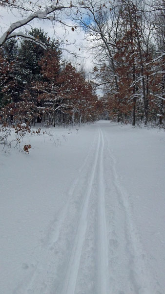 fresh tracks at pines point rec area