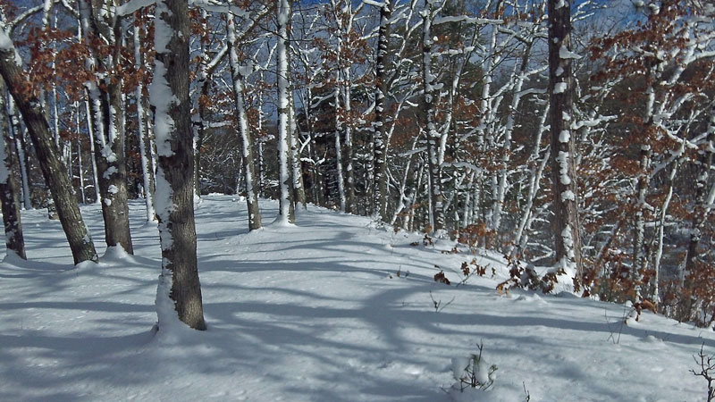 sunshine along the white river trail