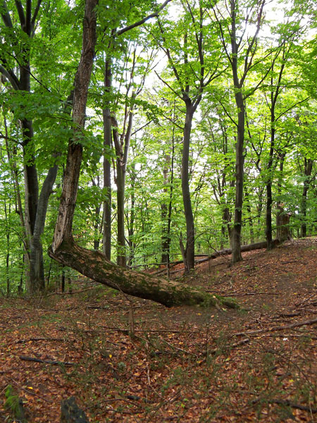 hiking trails on power island