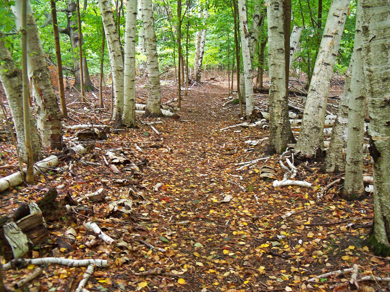 hiking trails on power island