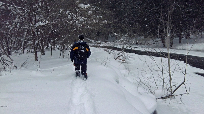 afternoon snowshoeing