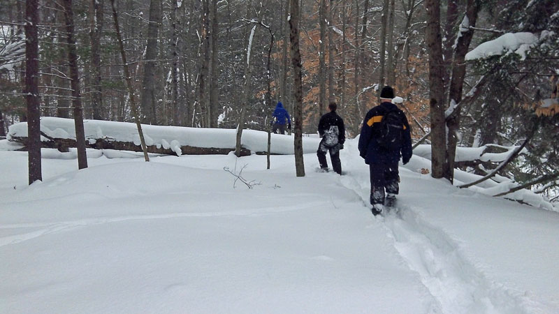 snowshoeing along the pine river