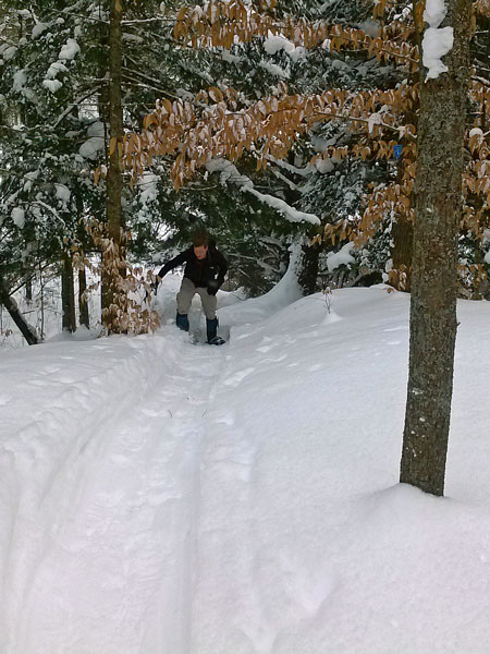 climbing back up the hill