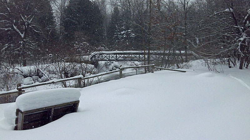 silver creek bridge over the pine river