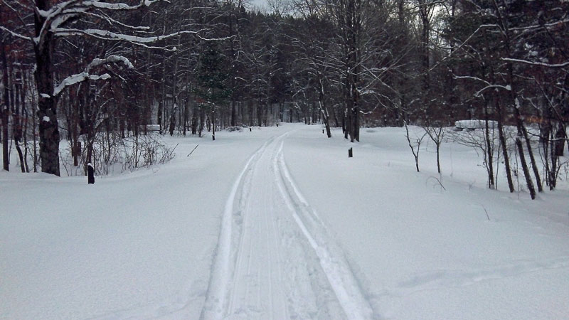 hiking back through the silver creek campground