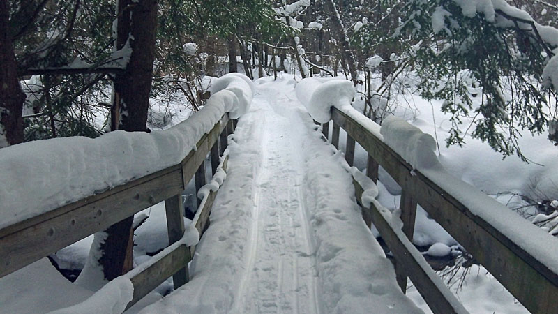 the smaller bridge over silver creek