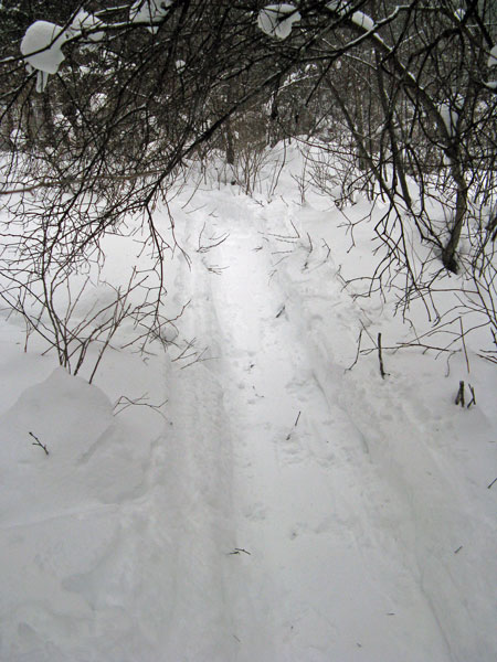 hard to find the trail in winter