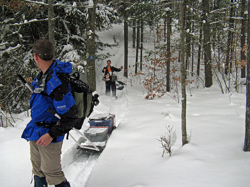 down the hill to the banks of the pine