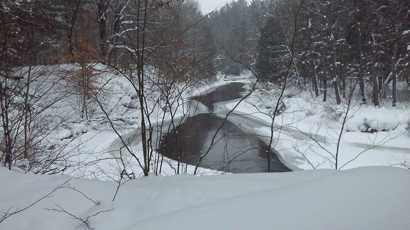 the pine river in the winter