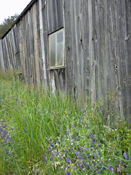 barn at the Treat Farm in Sleeping Bear Dunes