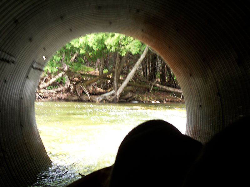 shooting the tube the crystal river