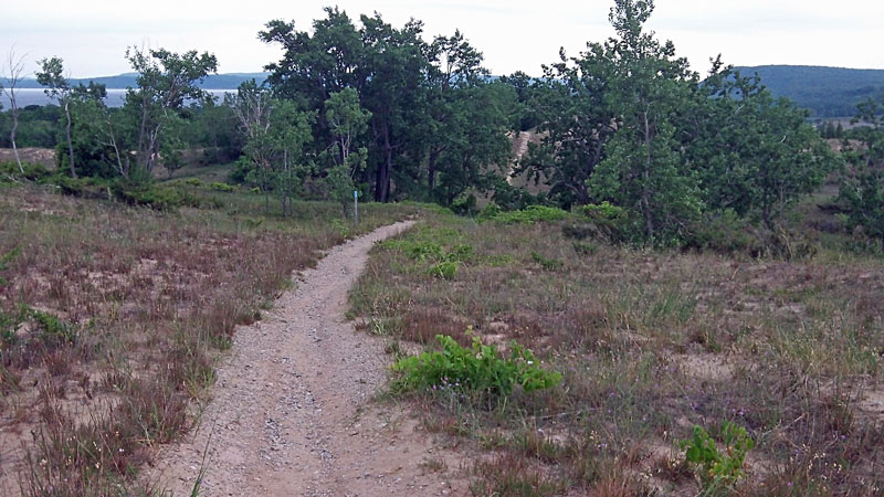 nearing the end of the dune trail