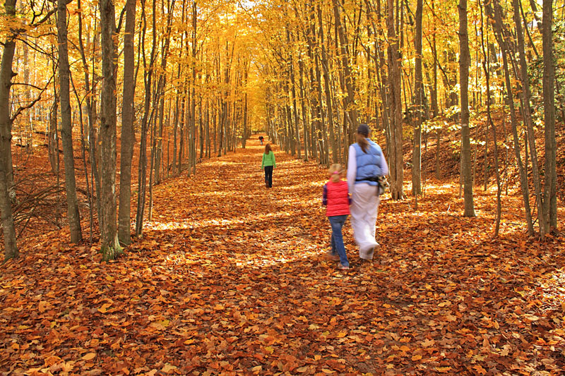 colors on the aligator hill trail