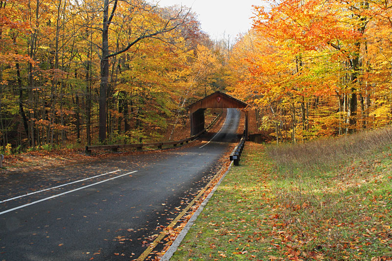 the covered bridge on the pierce stocking scenic drive