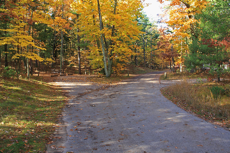 fall at the platte river campground