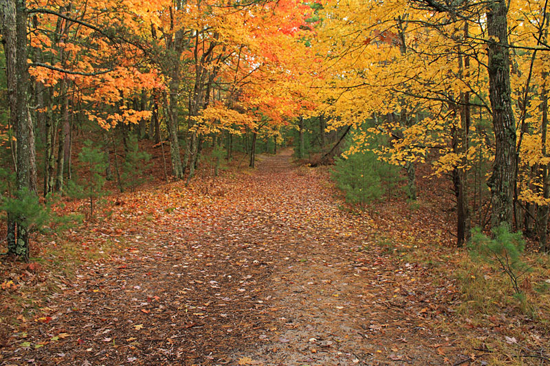 the railroad grade trail from the platte river campground