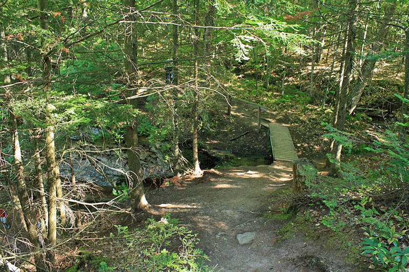 the bridge over memorial falls