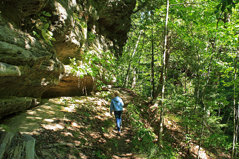 the trail to olson falls