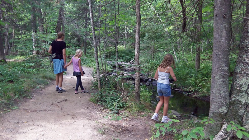 the trail to canyon falls