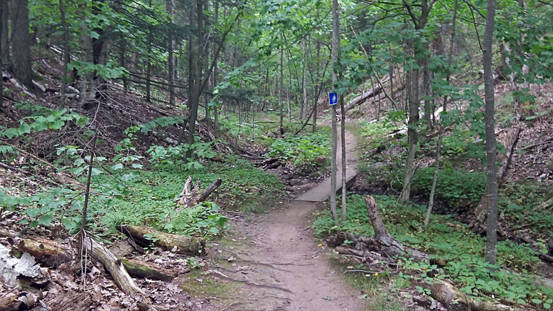 bridges in the up the creek section of the mount marquette trail 