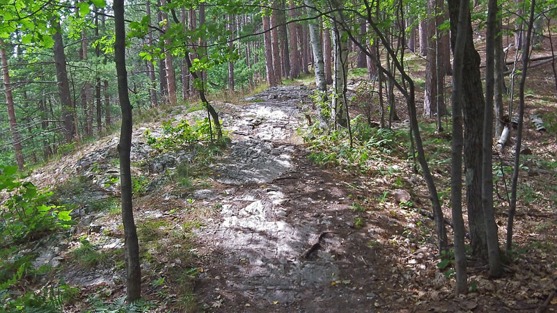 rocky downhill trail on the mount marquette mountain bike loop