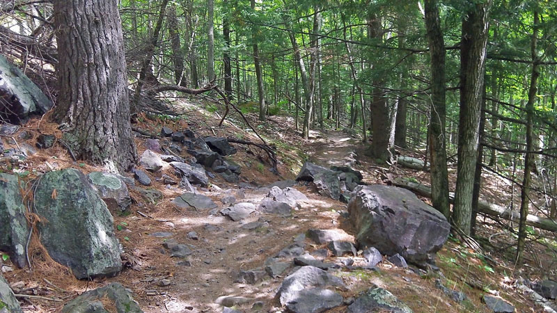 rocky single track on the marquette south moutain bike trails