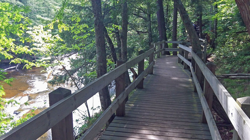 boardwalks on the west river trail