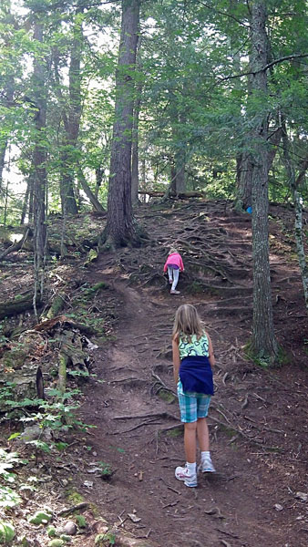 climbing up along the east river trail in porcupine mountains state park