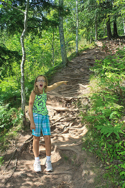 one last rough section of trail on the west river trail