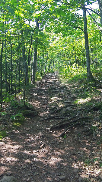 climbing up the escarpment