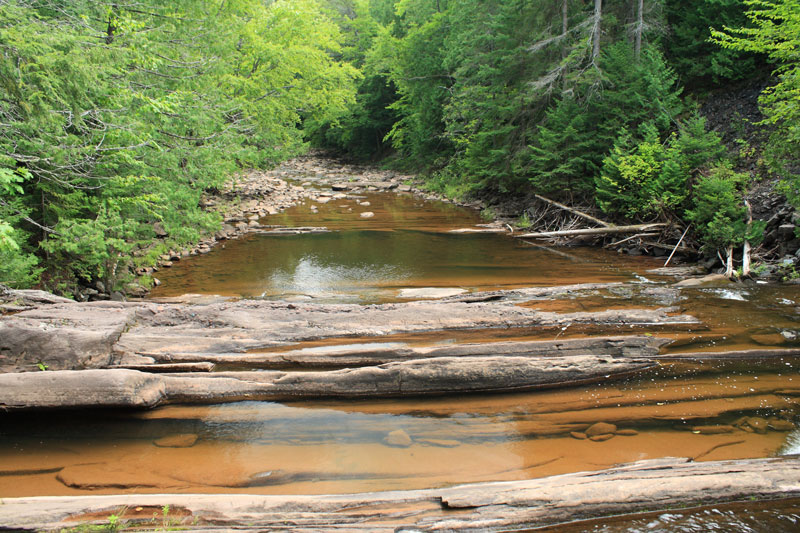 looking down the nonesuch falls