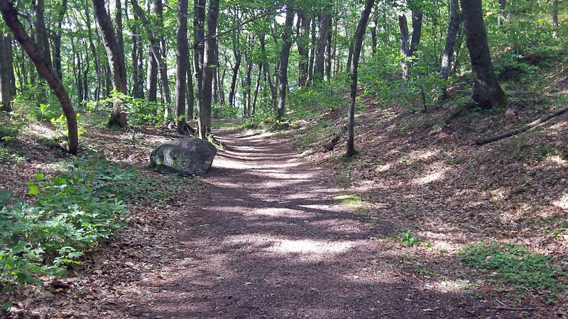 the wide path to the top of summit peak in the porkies