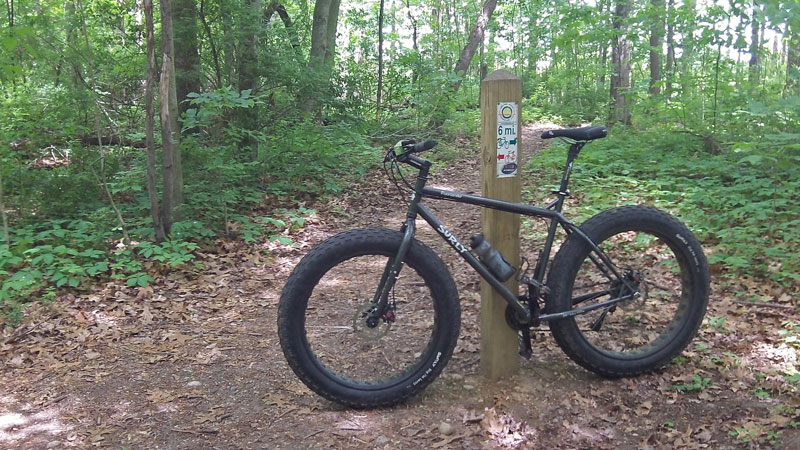 cut back trail on the tk lawless mountain biking