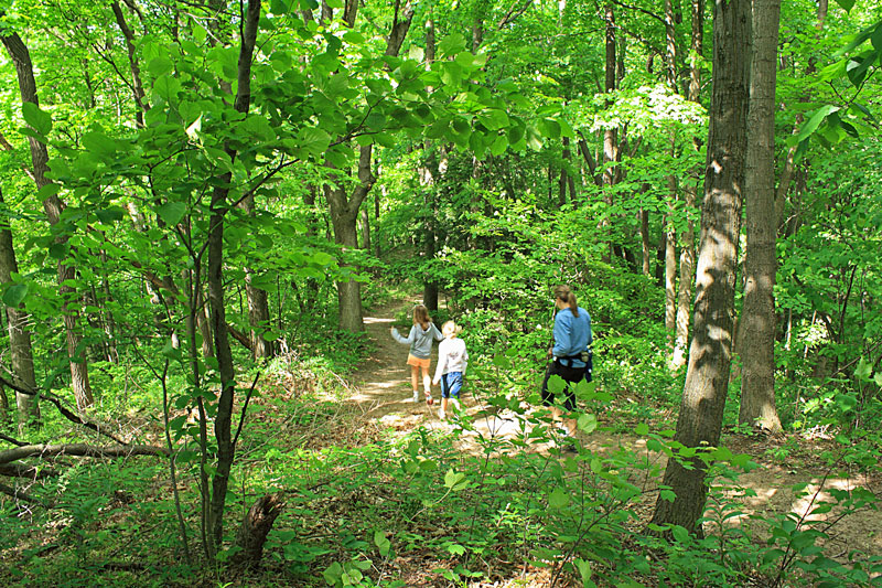 heading down the ridge