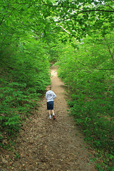 heading up the trail at warren dunes natural area