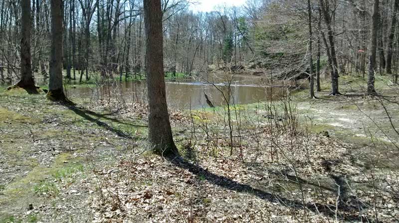 the second campsite along the white river trail