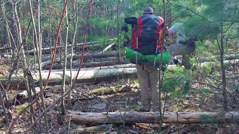 hiking back thru the blow down near the trailhead