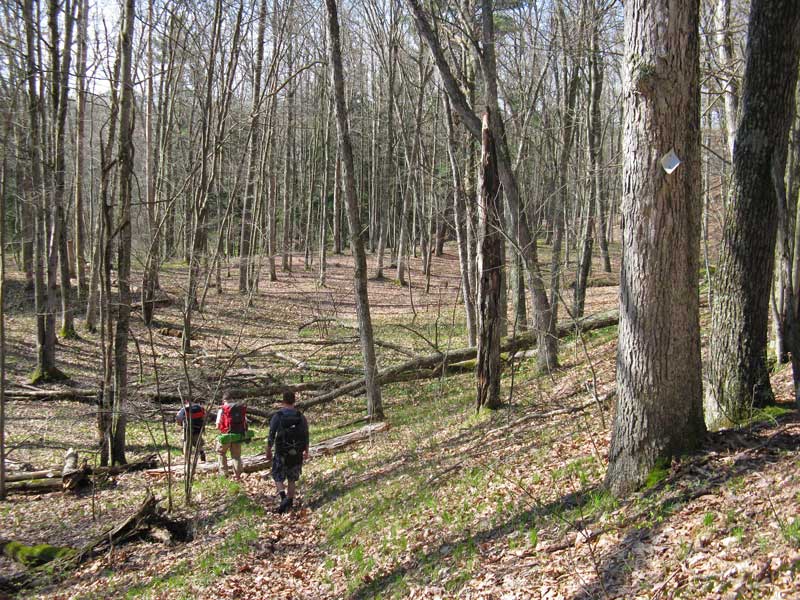 the first campsite along the river