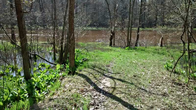 the view of the white river from our campsite