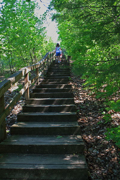 steps up avalanche mountian