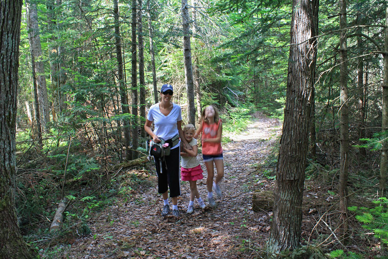 beginning of the white birch nature trail