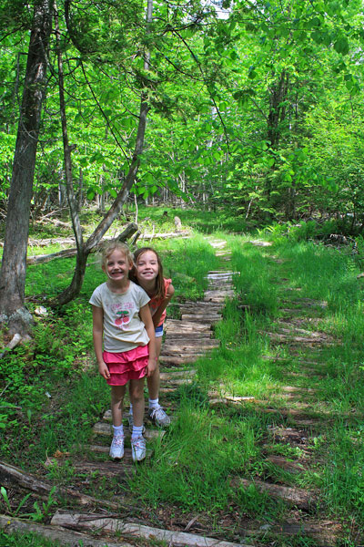 hiking white birch tail in Young State Park, MI