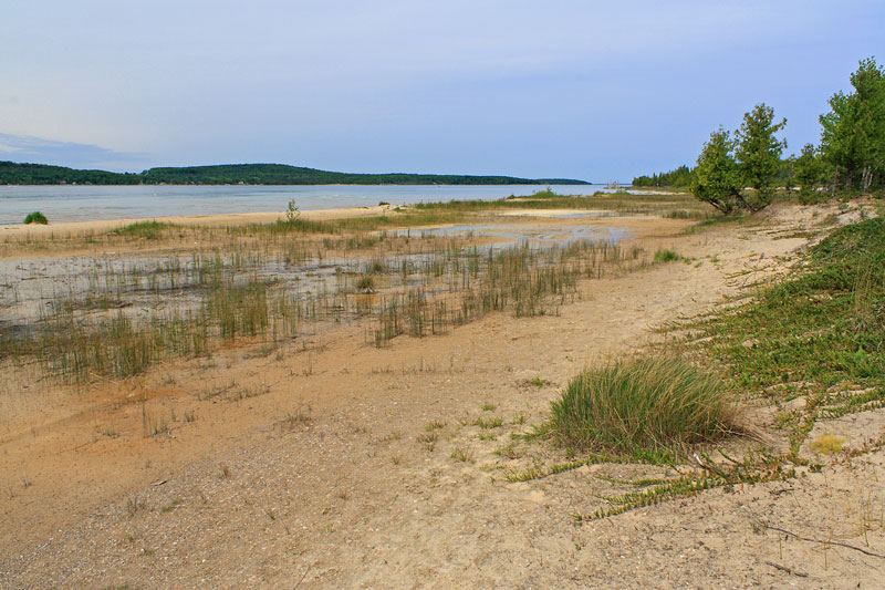 hiking the white birch tail young state park