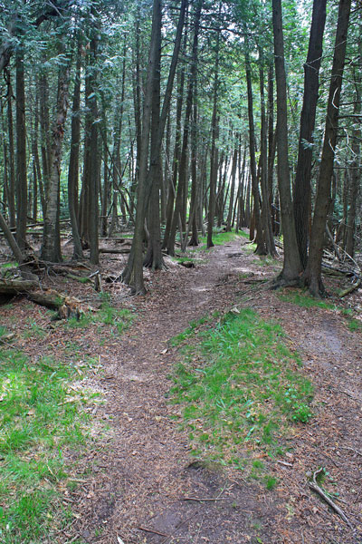 hiking young state park