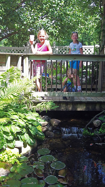 fish pond at pekadills