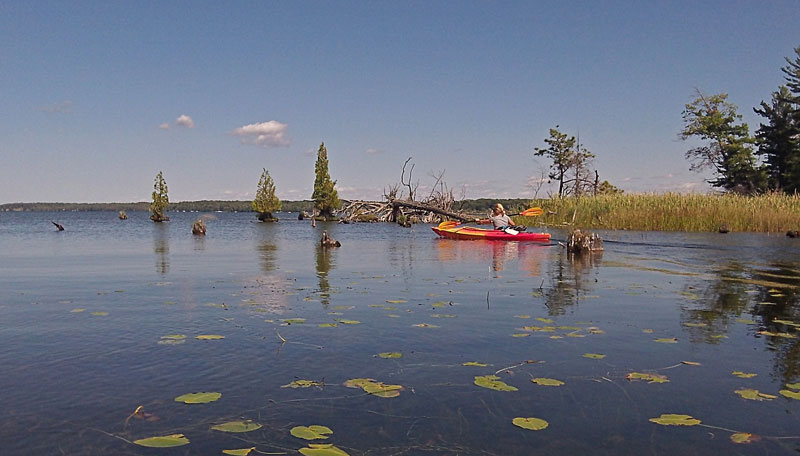 the first bay on hamlin lake is a dead end