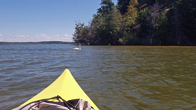 heading out to the start of the canoe trail