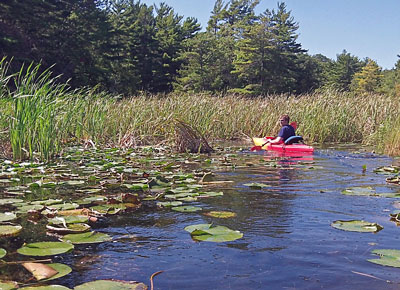 thumbnail from the ludington canoe trail